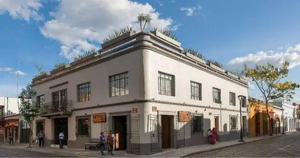 羊在風水中代表什麼，羊代表什麼象徵意義