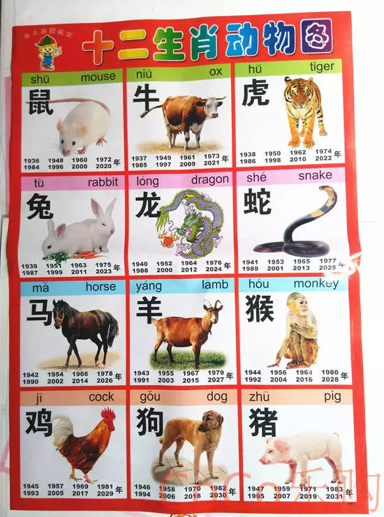 5、每日的属相怎么查:如何具体的查看自己的生肖属相?