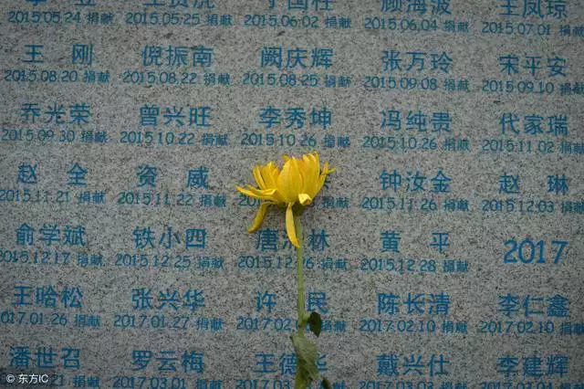 馬和羊事業相合嗎，馬和羊相配婚姻如何