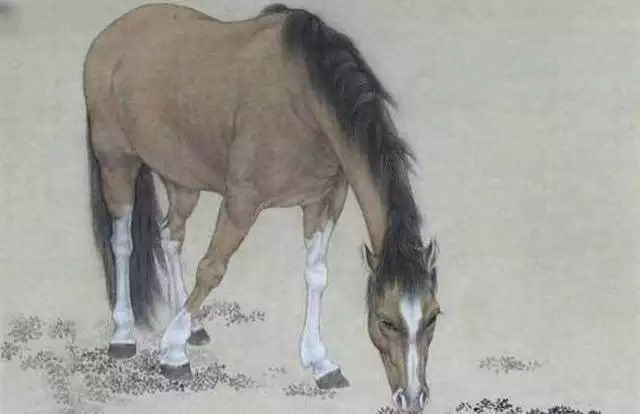 3、男馬女雞婚姻是否相配:男屬馬女屬雞相配嗎