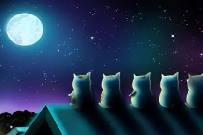 5、最阴险的月亮星座:天蝎座的太阳星座、月亮星座、上升星座分别是什么?