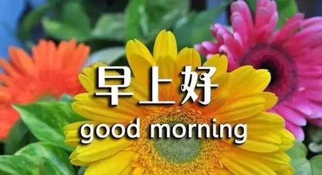 2、好心態陽光微信昵稱:好心態陽光微信昵稱 有哪些？