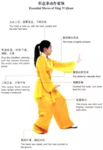学太极大概一年多了。现在想学心意拳,可以自学么 ?听说心意拳很实效。另外心意拳养生么?