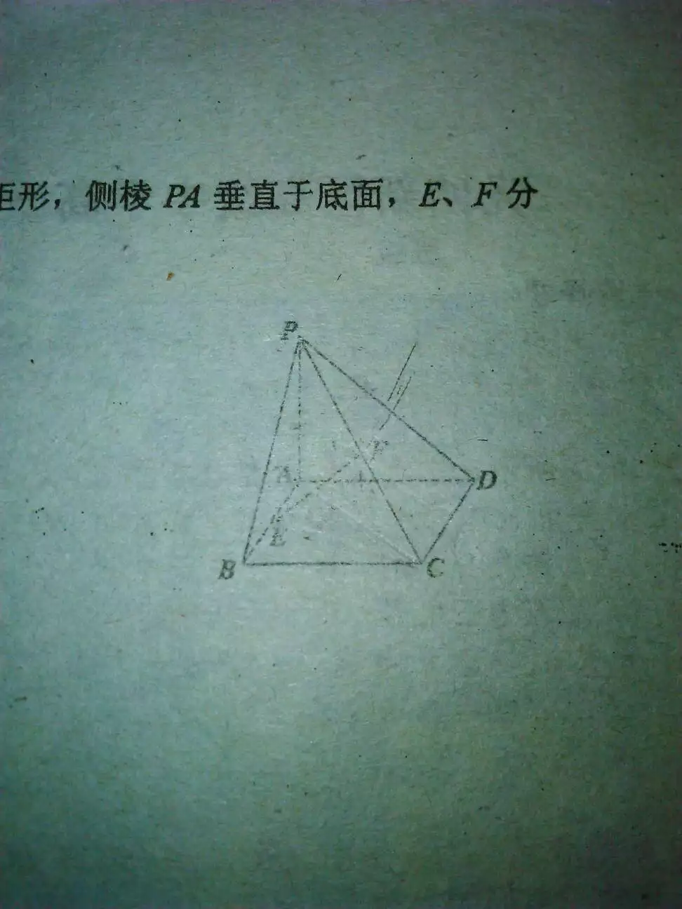 abcd哪个是假情侣