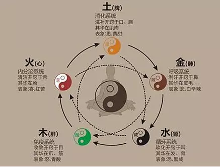 五行五脏相生相克图