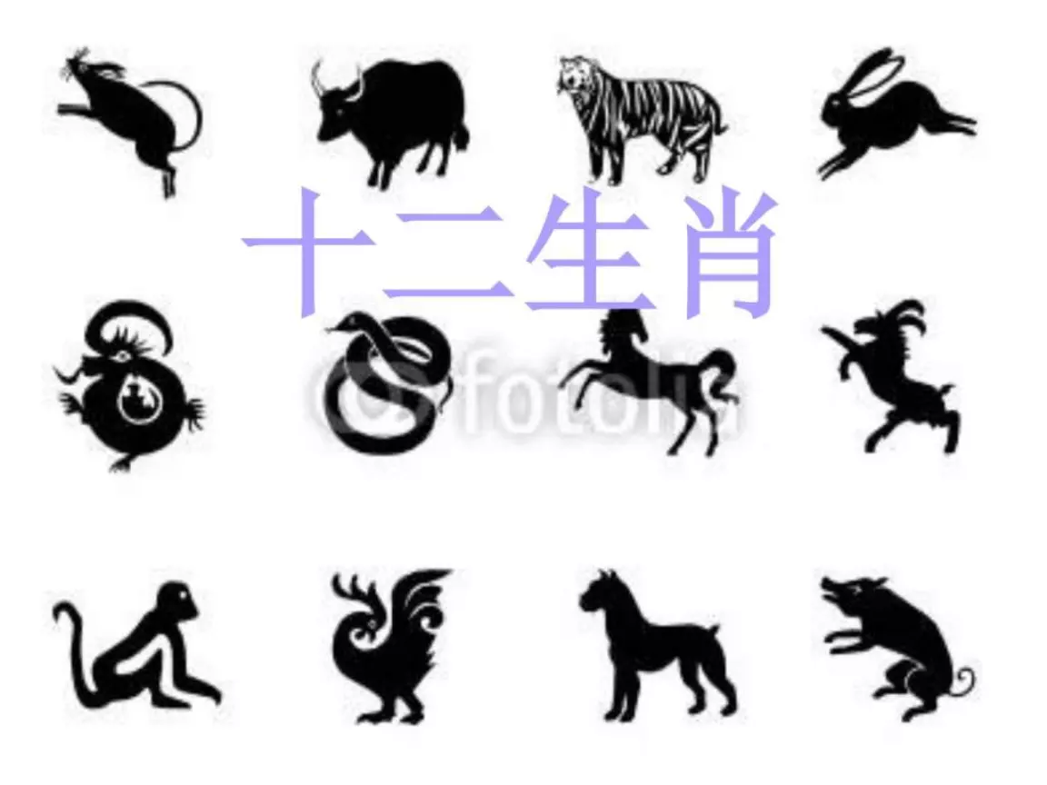 3、買12生肖碼要什麼:網上怎麼買12生肖馬