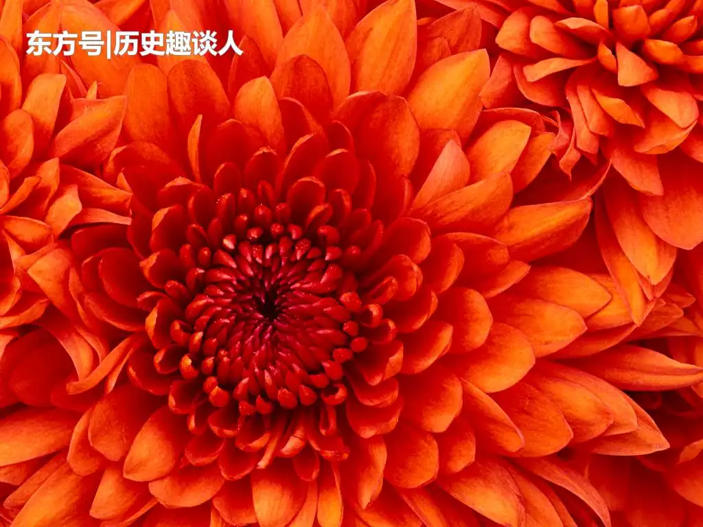 75年属兔46岁以后的一生命运：75年属兔女人的一生命运如何