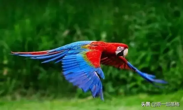 未來三個月運勢,最近三個月運勢免費算