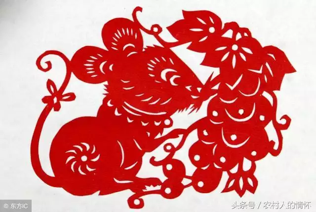 属虎农历几月出生命更好，2022年生虎备孕表