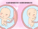 2、暗示生男孩的28個胎夢:懷男孩的胎夢有哪些
