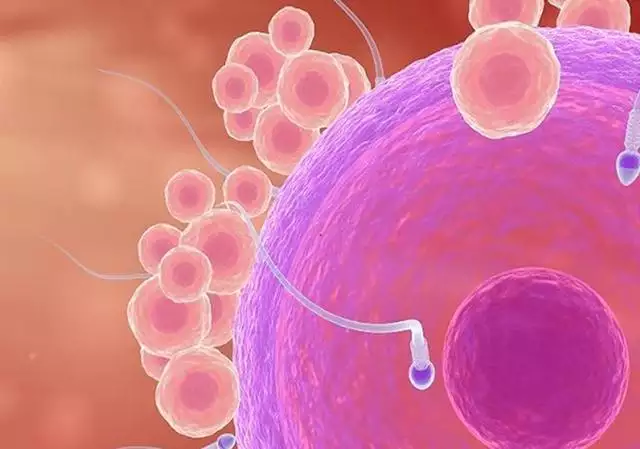 生属虎的宝宝几月份怀孕更好，2022年属虎几月出生好