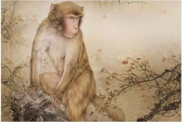 0年女猴命好不好，80年7月的猴是什么命"