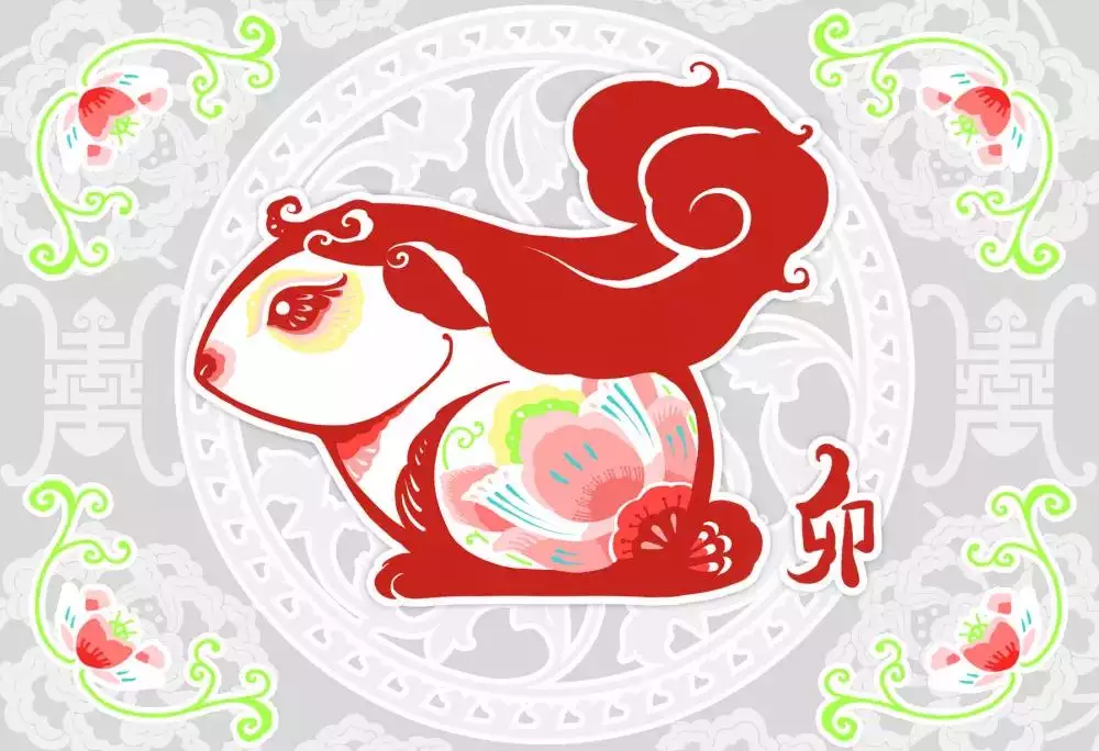 4、屬龍和屬虎的合不合婚:屬虎男生和屬龍女生婚姻配嗎