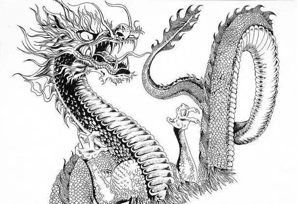 4、属龙年6月8日运势:属龙年6月8日生人年运势运程