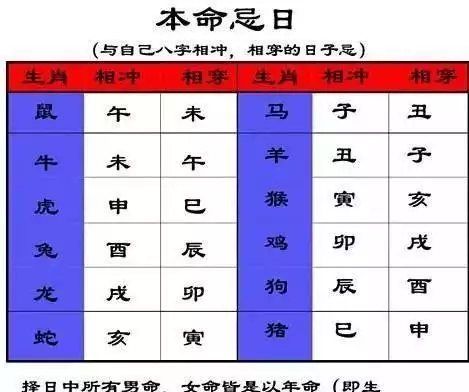 2、生肖之间相刑是什么意思:相刑生肖什么意思