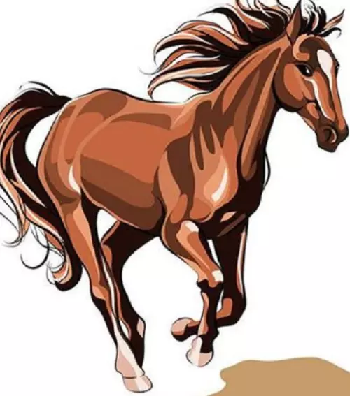 男馬女羊相配好不好,男羊女馬生什麼寶寶好