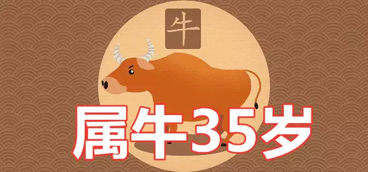 2、属牛农历5月运势如何:属牛阴历五月运势