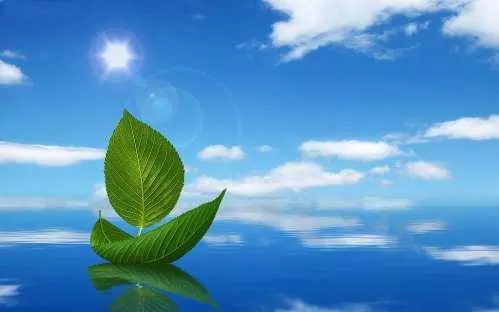 2、属羊人赌运好不好:年属羊在年七月份赌运好不好