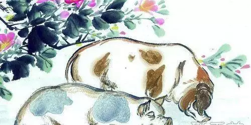 1属猪2022年有一灾，1971男在2022年运气"
