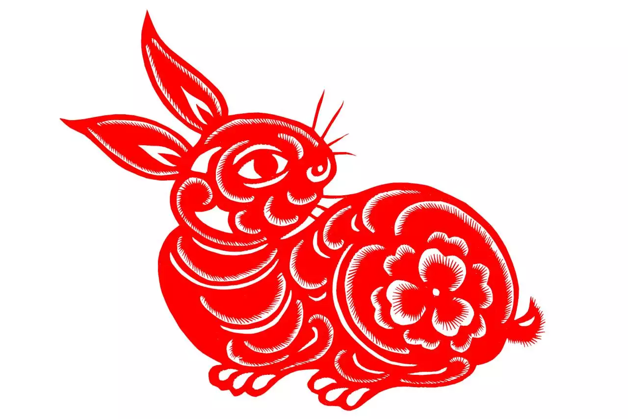 022年属什么生肖五行