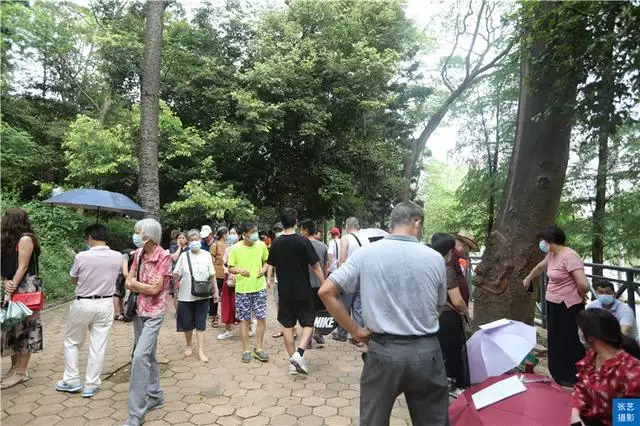 北京哪個公園有相親活動，北京菖蒲河公園相親