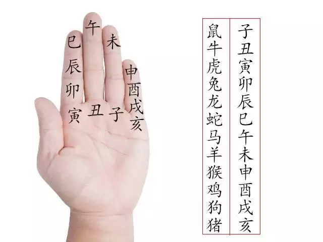老虎是哪一年生的，屬虎的什麼時候出生