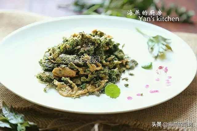 屬兔的五大貴人海燕魚怎樣做好吃，屬兔和屬蛇的婚配好不好