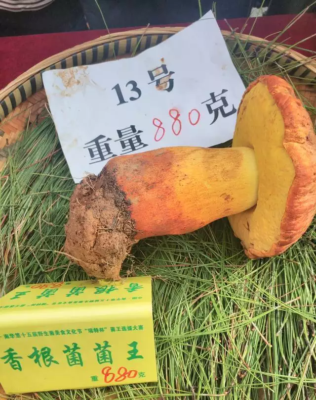 11、烧过的香根怎么处理:怎样处理未烧尽的香根