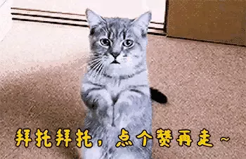 屬猴的和屬虎的相差幾歲，男猴子大女虎6歲