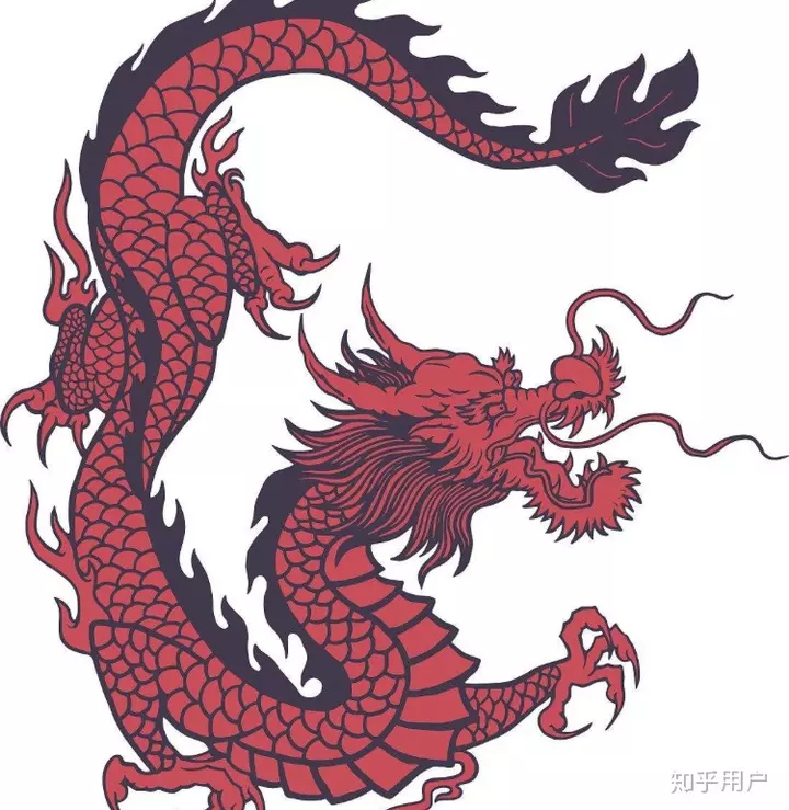 7、十二生肖真动物图片:十二生肖战士的真实图片