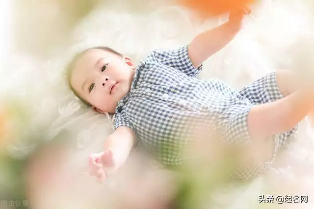 屬羊開公司取名宜用字大全，公司名字測試打分免費測名字打分