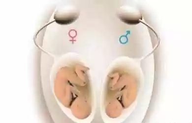 2、怀女宝的症状可准了:怀男孩女孩有什么症状