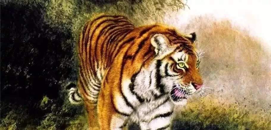 屬虎86年一生晚年怎樣,86年男虎第二次婚姻哪年