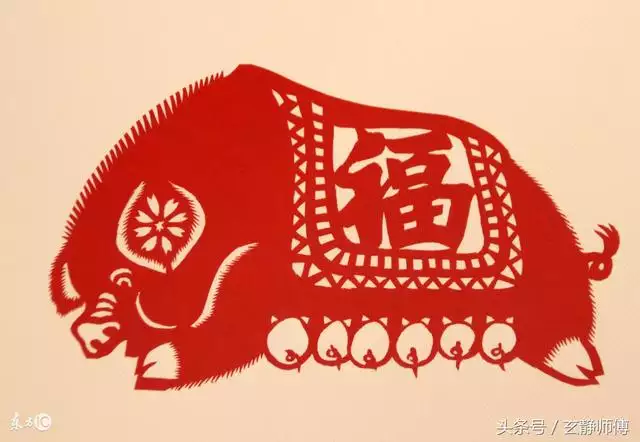 1屬豬2022年有一災，屬豬的2022