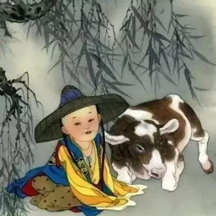 屬兔什麼屬相孩子