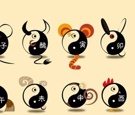 2、十二生肖鸡年运势:十二生肖属鸡今年运势