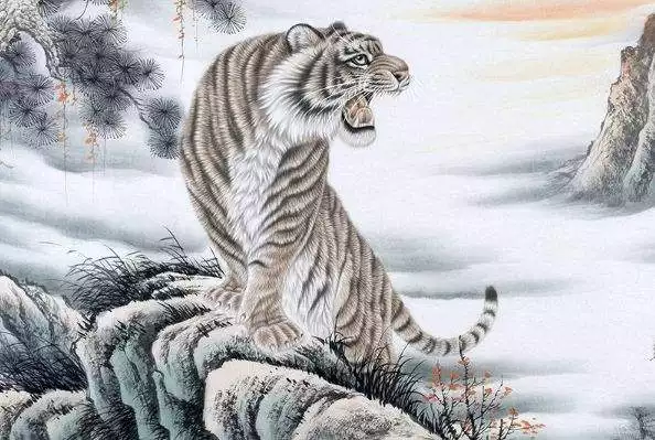 986年屬虎缺什麼，1986年屬虎是什麼命"