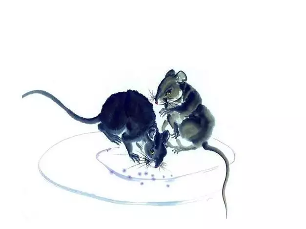 屬鼠的財運貴人是誰，屬狗人出生時辰和財運
