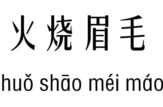 五行属火的成语