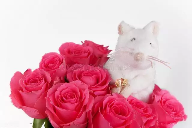屬鼠的今年結婚吉日，屬鼠人2022 黃道吉日
