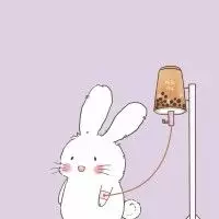 可愛兔子情侶頭像