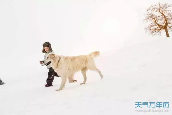 6、属狗人7月份运势:属狗年七月份出生的人运势