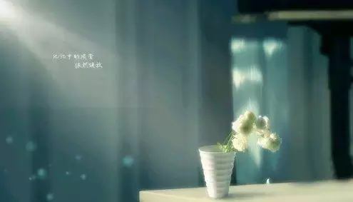 2、打動人心的情感語錄:感動人生情感的句子