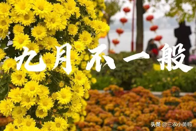 2021年农历九月五行属什么 2021年农历九月五行属什么