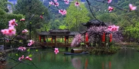 桃花运旺的八字