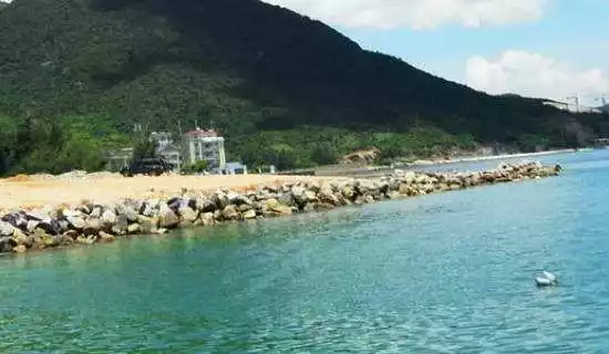 屬雞多大年齡2022,屬雞的2022 年多大年齡