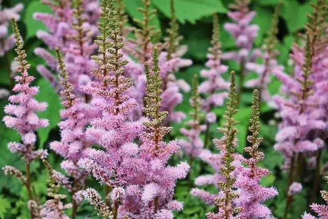 022年下半年运势极好的星座，2022年上半年星座运势视频"