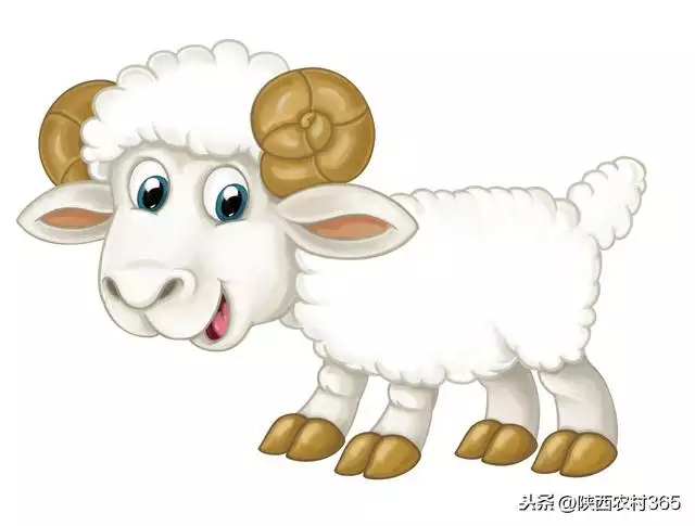 屬羊屬馬早晚會離婚視頻,屬馬女與屬羊男婚姻配