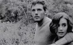 十二生肖配偶更佳选择，十二生肖与人生运势