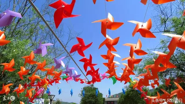 4年屬狗什麼時候轉運,93年屬雞的和什麼屬相最配"